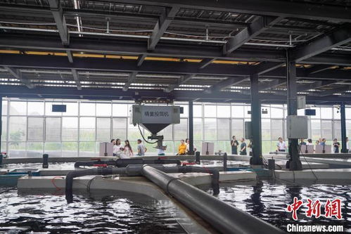 巴掌田上出實招 科技讓重慶山地農(nóng)業(yè)更智慧